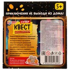 Настольная игра «Суперквест с монетами. Миллионер», 5+ - фото 24037974