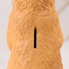 Копилка  "Суслик" высота 28,5 см, ширина 11 см, длина 11 см - Фото 5