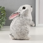 Копилка "Кролик №3 Пестрый" высота 16 см, ширина 10,5 см, длина 12,5 см - фото 9843971