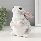 Копилка "Кролик №3 Пестрый" высота 16 см, ширина 10,5 см, длина 12,5 см - фото 9843974