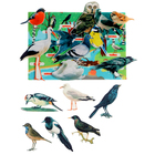 Игра — конструктор «Изучаем птиц» 16 деталей - Фото 2