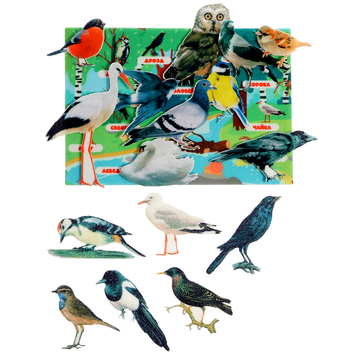 Игра — конструктор «Изучаем птиц» 16 деталей - фото 1909647756