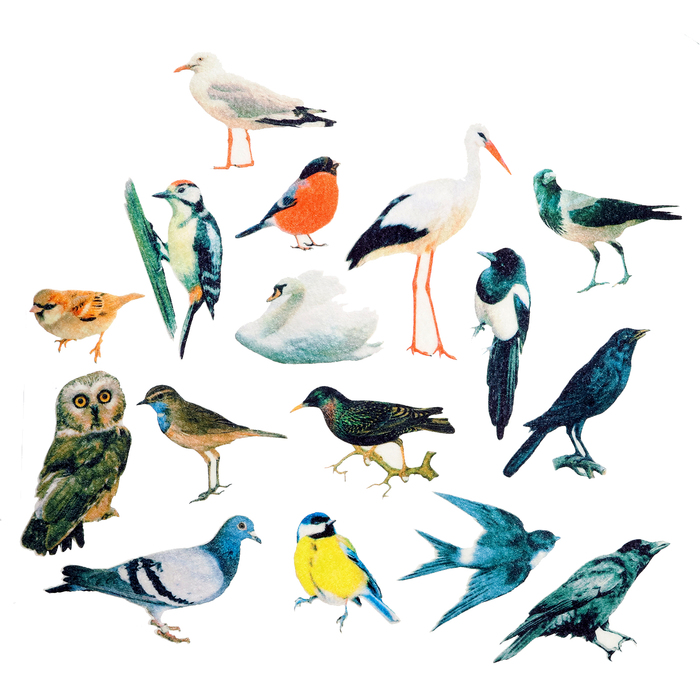 Игра — конструктор «Изучаем птиц» 16 деталей - фото 1928635590