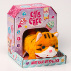 Мягкая игрушка интерактивная "Котик рыжий" - фото 4454675