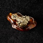 Сувенир "Лягушка фен-шуй", латунь, янтарь, 2,5х4,5х1 см - фото 24039368