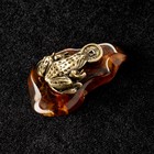 Сувенир "Лягушка фен-шуй", латунь, янтарь - Фото 3