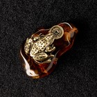 Сувенир "Лягушка фен-шуй", латунь, янтарь - Фото 4
