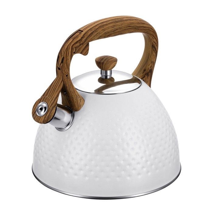 Чайник Regent inox Tea, со свистком, 2.8 л + подарок ситечко для заваривания чая - Фото 1