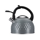 Чайник Regent inox Tea, со свистком, 2.6 л + подарок ситечко для заваривания чая - Фото 3