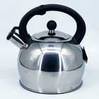 Чайник Bekker, металлический, 3 л - фото 300966144