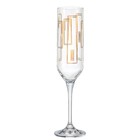 Набор бокалов для шампанского Crystalex «Ума. Роскошный контур», 200 мл, 6 шт - фото 300967358