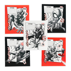 Тетрадь в клетку 18 листов, 5 видов МИКС, обложка мелованный картон, Человек-паук - Фото 1