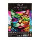 Фетр цветной набор, толщина - 2 мм, формат А4, мягкий, 15 листов, 15 цветов, Calligrata TOP - Фото 5