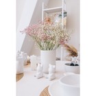 Набор для специй Доляна «Стильный мишка», 2 предмета: солонка 30 мл, перечница 30 мл, белый - Фото 8