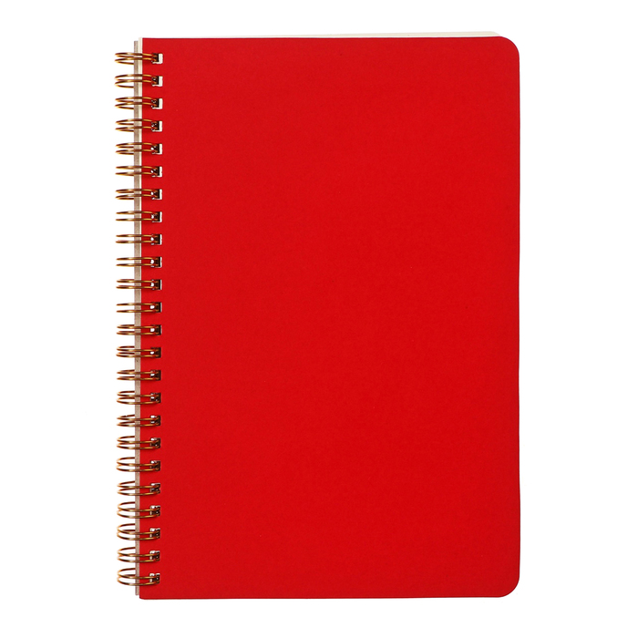 Бизнес-тетрадь А5, 60 листов в клетку Pragmatic, картонная обложка, тонированный блок 80г/м2, красный