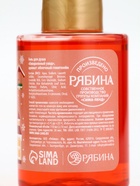 Гель для душа, 100 мл, аромат яблочный глинтвейн, URAL LAB - фото 809279225