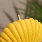 Свеча "Ракушка малая" 9х4х7,5 см, соевый воск МИКС - Фото 3