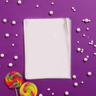 Пакет фасовочный БОПП 15 х 20 см 25 мкм (комплект 100 шт) - фото 24057289