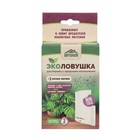 Ловушка для комнат и оранжерей "ARGUS ЭКО", 1 шт - Фото 2