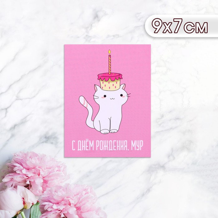 Мини-открытка "С Днём Рождения! Мур!" котик с тортиком, 9 х 7 см - Фото 1