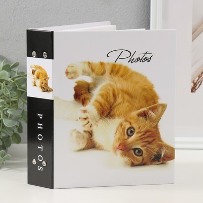 Фотоальбом на 200 фото 10х15 см "Кошки-2 (1 кошка)"