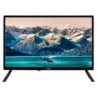 Телевизор LED Digma 24" DM-LED24MBB21 черный/черный HD 60Hz DVB-T DVB-T2 DVB-C DVB-S DVB-S2   102953 - фото 51597033