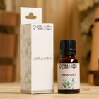 Эфирное масло «Эвкалипт» в коробке 15 мл - Фото 1