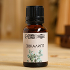 Эфирное масло «Эвкалипт» в коробке 15 мл - Фото 2