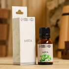 Эфирное масло «Мята» в коробке 15 мл - Фото 1