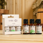 Набор эфирных масел 3 шт "Пихта, Мята, Эвкалипт" по 15 мл - Фото 1