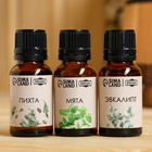 Набор эфирных масел 3 шт "Пихта, Мята, Эвкалипт" по 15 мл - Фото 2