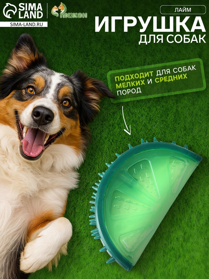 Игрушка охлаждающая для собак «Лайм», 12.5 см, TPR - Фото 1