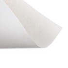 Бумага для черчения А3, 20 листов, ErichKrause, Art пластик папка без рамки - Фото 4