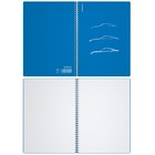 Тетрадь A4 80 листов, клетка на спирали, ErichKrause, "Mirage" пластиковая обложка синяя - фото 24164106