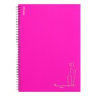 Тетрадь A4 80 листов, клетка на спирали, ErichKrause, "Silhouette" пластиковая обложка розовый - фото 321607038