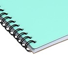 Альбом для рисования А4 30 листов, на спирали, ErichKrause, "Pastel Bloom" пластиковая обложка зелёный - фото 24164120