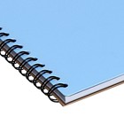 Альбом для рисования А4 30 листов, на спирали, ErichKrause, "Pastel Bloom" пластиковая обложка голубой (комплект 2 шт) - фото 24164126