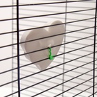 Минеральный камень для птиц «Пижон», форма сердца, с углем, 60 г - Фото 7