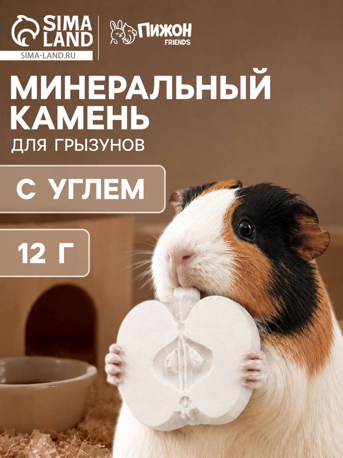 Минеральный камень для грызунов «Пижон», яблоко с углем, 70 г - Фото 1
