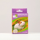 Минеральный камень «Пижон» для грызунов яблоко с углем, 70 г - Фото 3