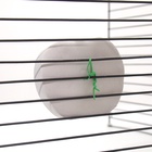 Минеральный камень «Пижон» для грызунов яблоко с углем, 70 г - Фото 5