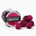 Цветы сухие «Гомфрена» для капкейков, тортов и напитков, 5 г. - Фото 2