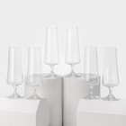 Набор стеклянных бокалов для шампанского «Экстра», 215 мл, 6 шт - фото 321607162