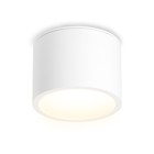Светильник накладной Ambrella Techno Spot Ip Protect TN6550, GX53, цвет белый - фото 4349320