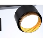 Светильник накладной Ambrella Techno Spot Techno Family TN71295, GX53, цвет чёрный, золото - Фото 4