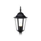 Светильник уличный ландшафтный Ambrella Garden ST2037, E27, цвет чёрный, прозрачный - Фото 4