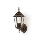 Светильник уличный настенный Ambrella Garden ST2012, E27, цвет золото, чёрный, прозрачный - фото 301420617