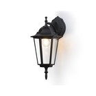 Светильник уличный настенный Ambrella Garden ST2018, E27, цвет чёрный, прозрачный - фото 301420621