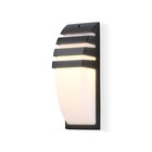 Светильник уличный настенный Ambrella Garden ST5202, E27, цвет чёрный - Фото 1