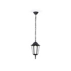 Светильник уличный подвесной Ambrella Garden ST2029, E27, цвет чёрный, прозрачный - Фото 1